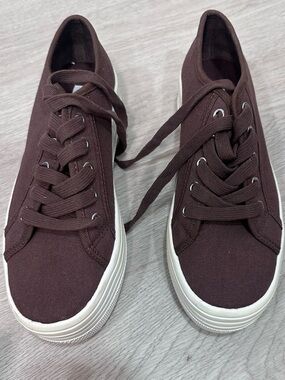 Steve Madden Women's Low-Top Sneakers in Dark Brown